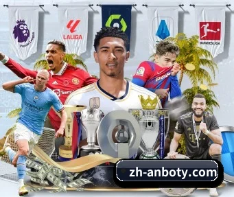 国际化进程(ANBOSPORT)